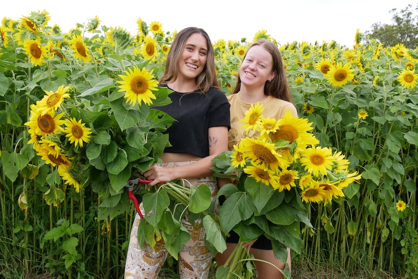 Two girls hold huge bunch of sunflowers in front of wall of flowers.