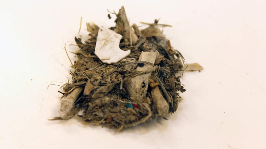 A small pile of debris on a white background.