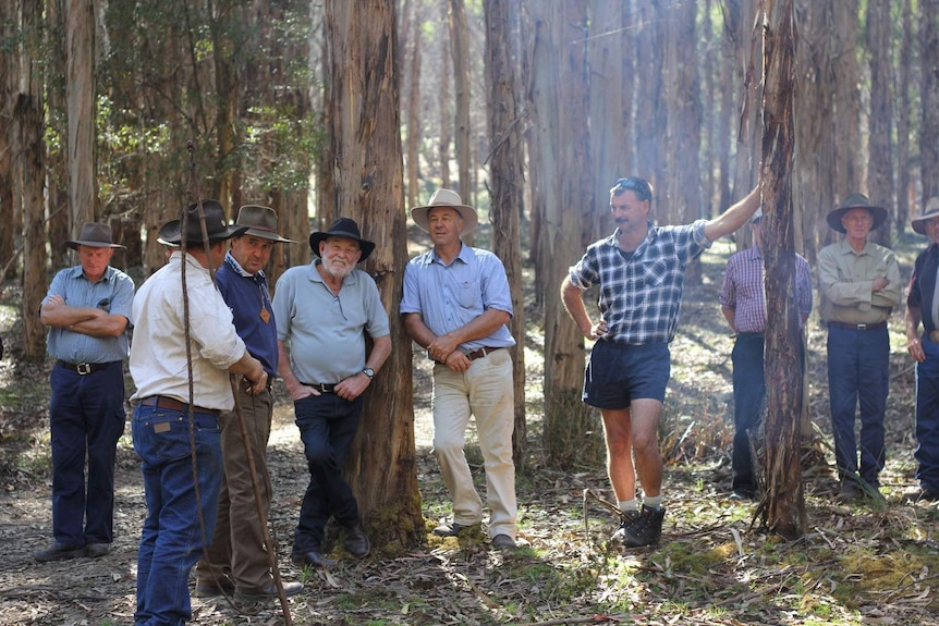 Members of the  Australian Bullock Drivers Association