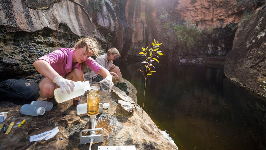 Ecologists sit on the edge of a rock form with bottles and experimental gear.