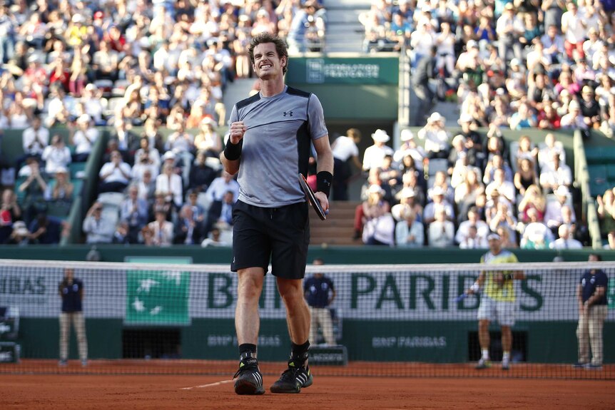 Andy Murray celebrates win over David Ferrer