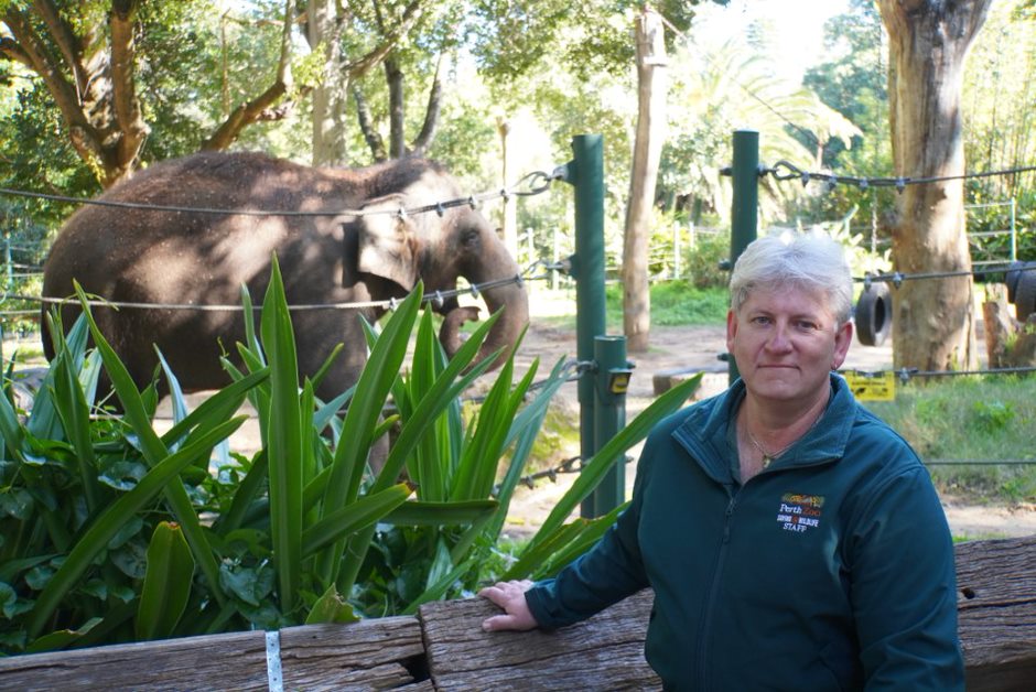 A man smiling and leaning on a wooden fence with an elephant in an enclosure in the background. 