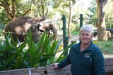 A man smiling and leaning on a wooden fence with an elephant in an enclosure in the background. 