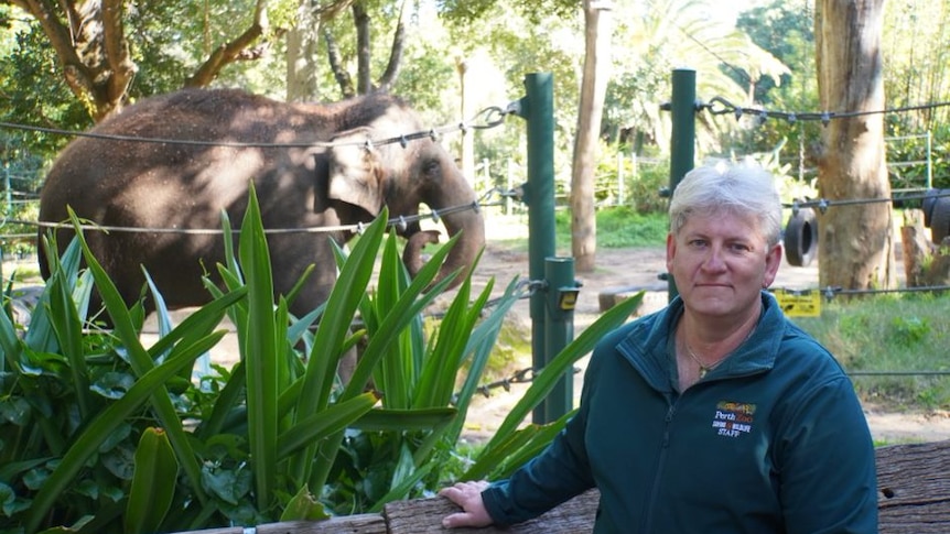 A man smiling and leaning on a wooden fence with an elephant in an enclosure in the background. 