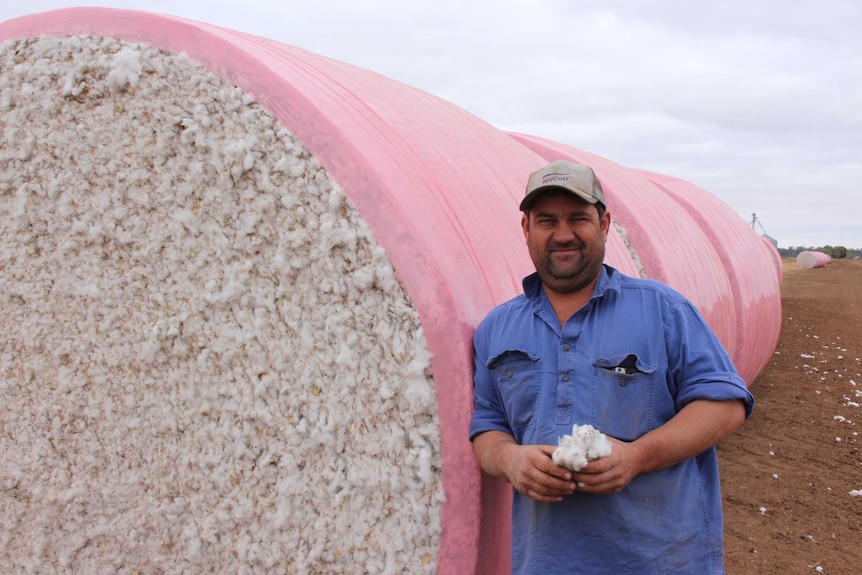 Paddocks have a pink tinge them as growers wrap their cotton in pink to support breast cancer care nurses.