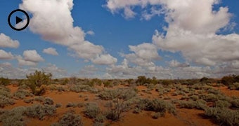 Outback landscape with scrub in the brown soil and clouds in the blue sky.