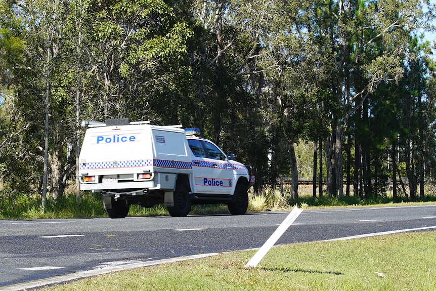 A police van on the road.