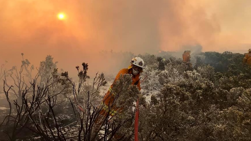 Tasmania Fire Service crew in the field, Central Highlands bushfire, January 22, 2019.