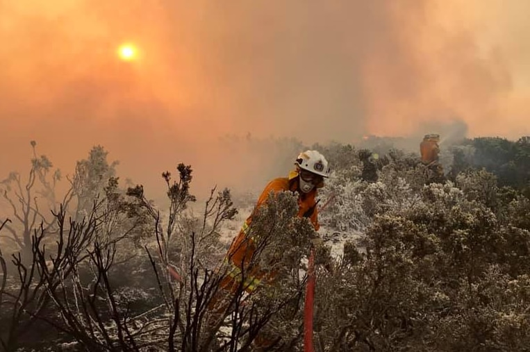 Tasmania Fire Service crew in the field, Central Highlands bushfire, January 22, 2019.