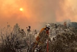 Tasmania Fire Service crew in the field, Central Highlands bushfire, January 22, 2019.