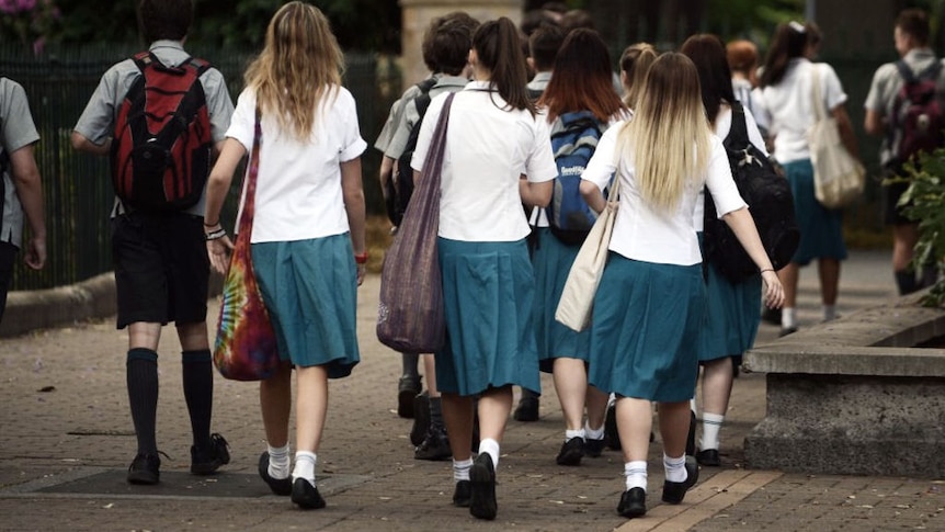 Schoolgirls walk into school.