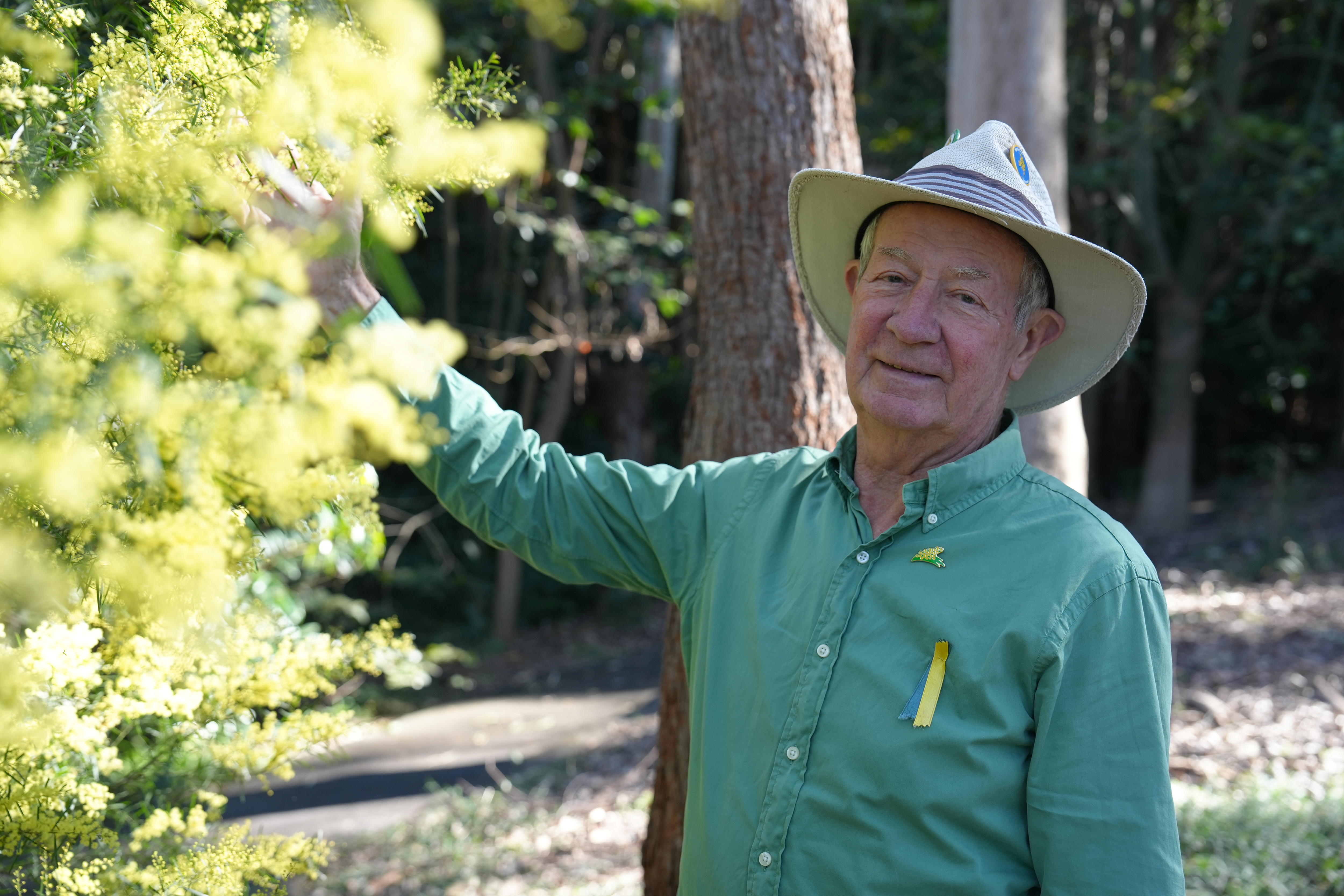 Wattle lovers push for Brisbane Olympics 'bathed in green and gold'