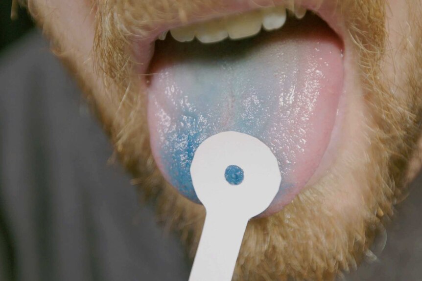 Close-up of a piece of paper with a hole in it on a tongue.