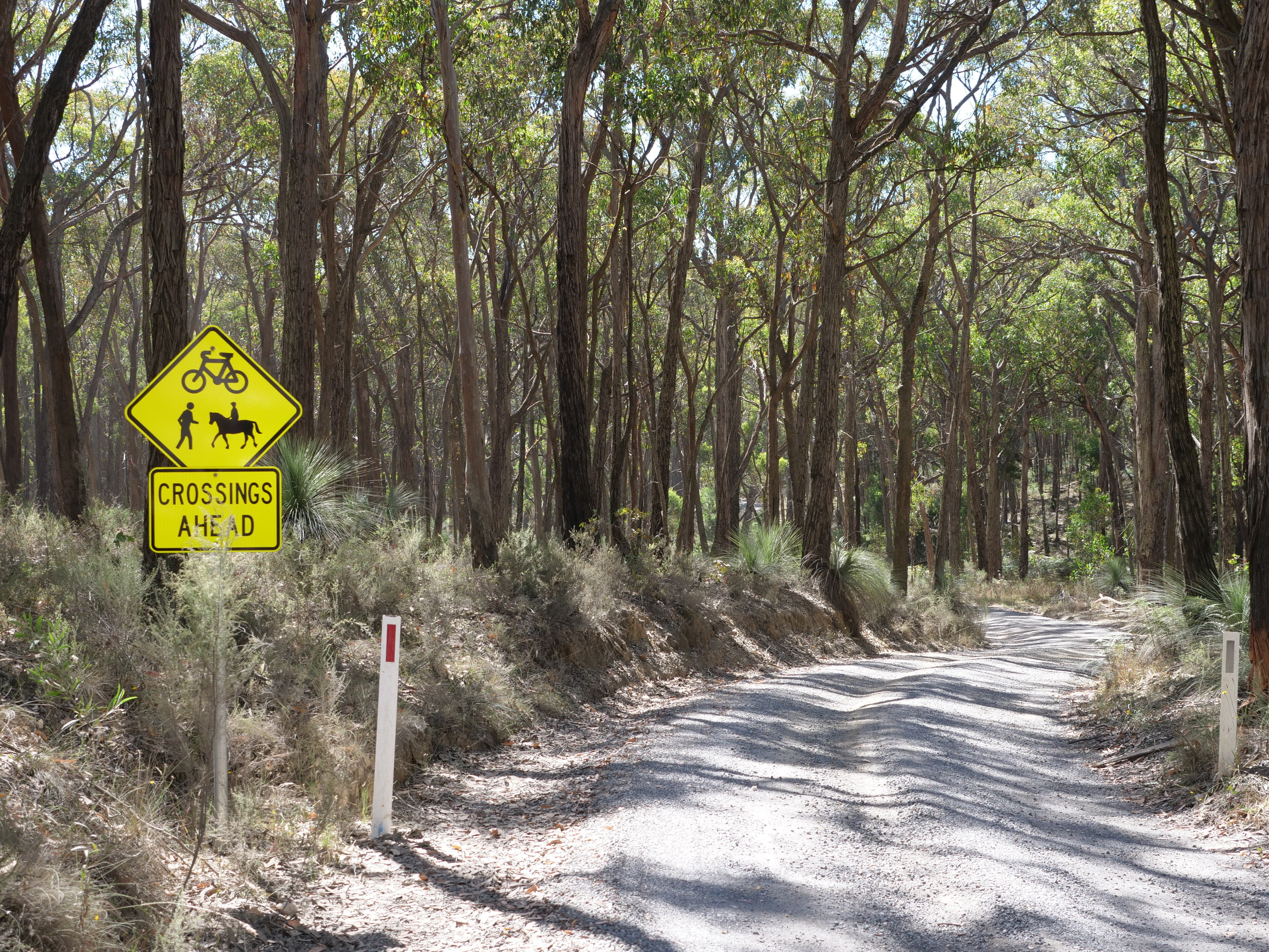 A road through the bush with a sign warning of horses, walkers, and cyclers.