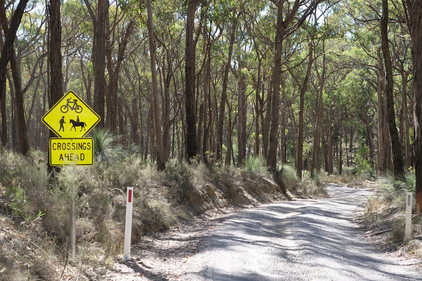 A road through the bush with a sign warning of horses, walkers, and cyclers.