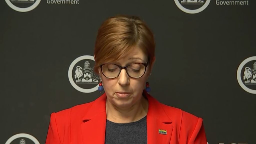 Act Health Minister Rachel Stephen Smith Speaks About Hospital