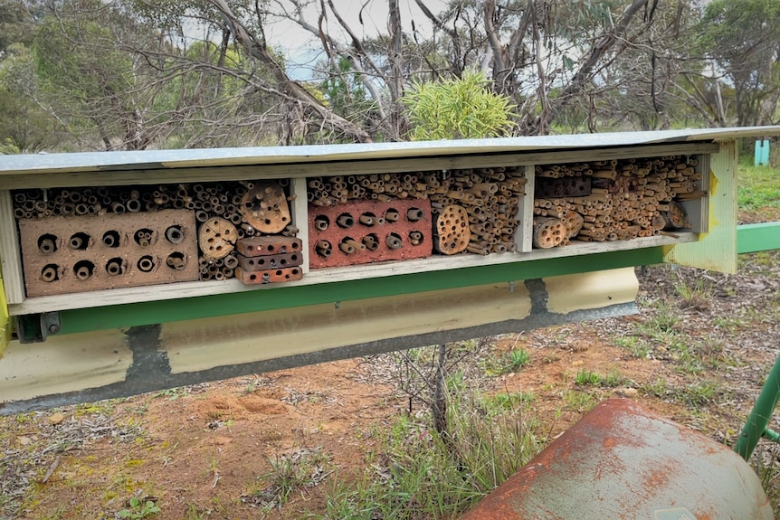 A wooden structure contains small sticks and bricks to create a space for bees to land and nest