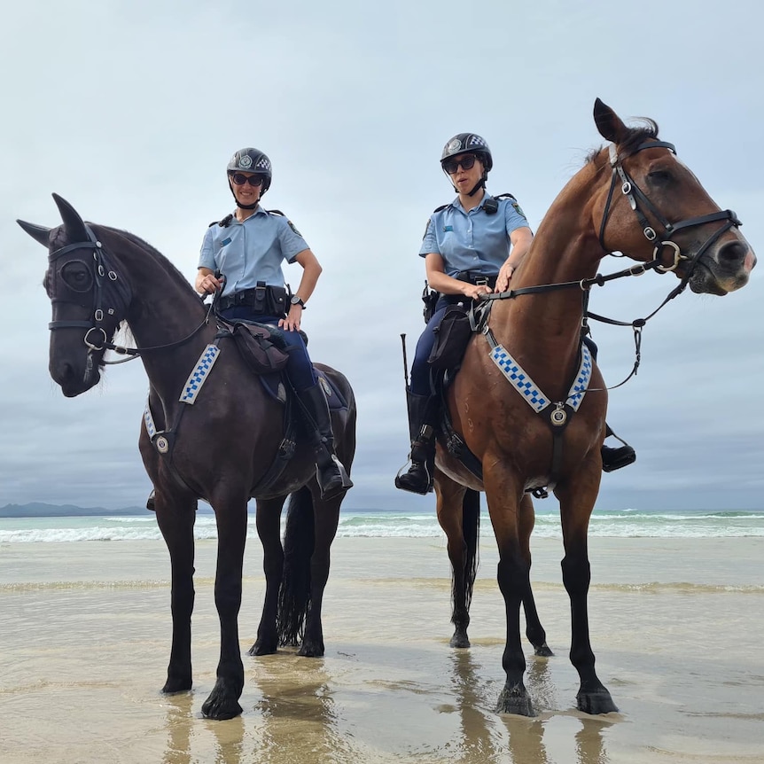 Two police officers on horses 