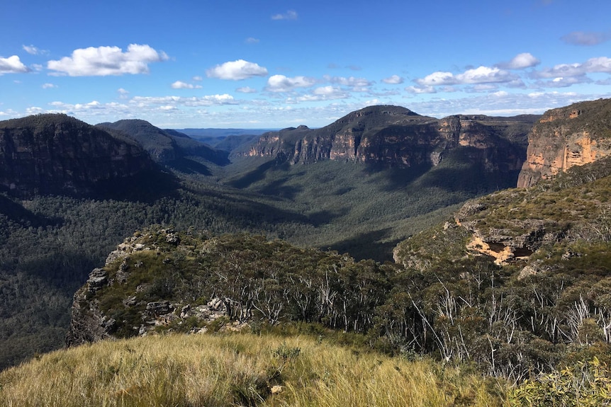 Blue Mountains.