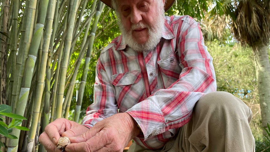 A white-bearded man crouches down holding an underdeveloped mushroom between his fingers.