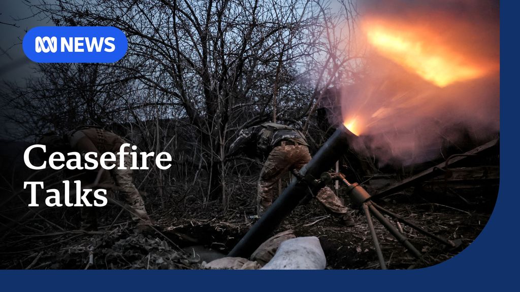 Vladimir Putin agrees to stop hitting Ukraine's energy infrastructure ...