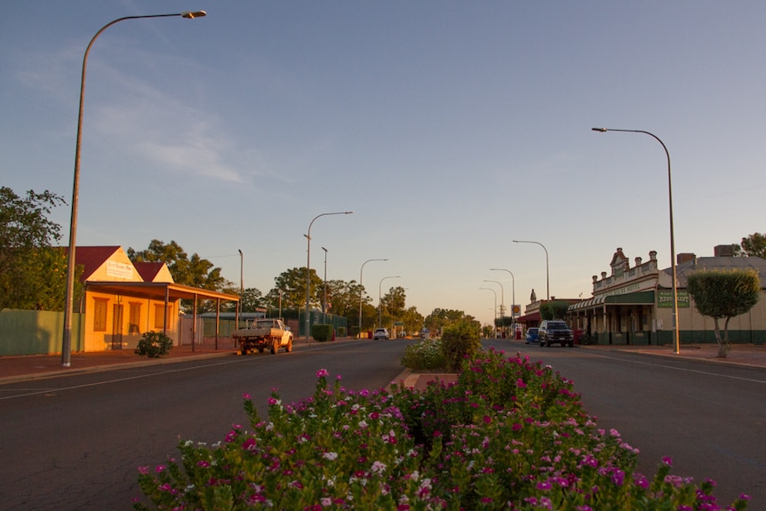 A small town main street with flowers in the foreground.