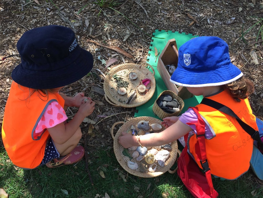 The Nature School