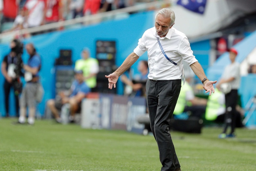 Bert van Marwijk splays arms wide on the sideline