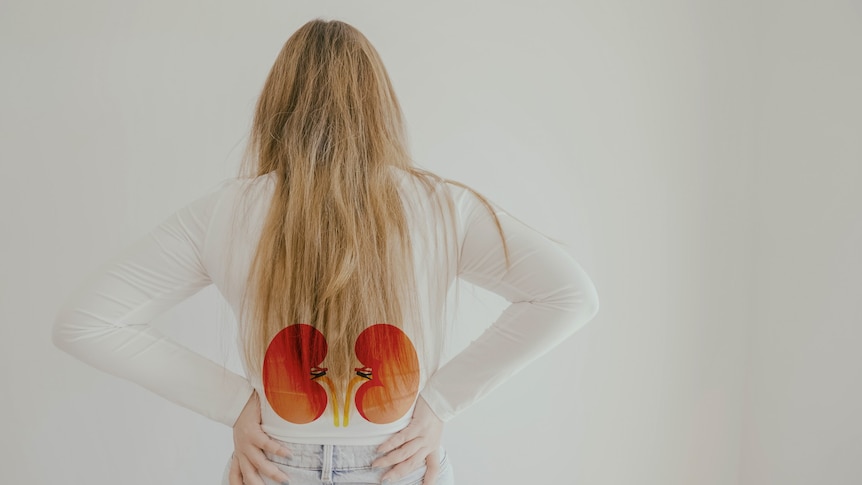 A woman, hands on hips and shown from behind, with kidney illustrations