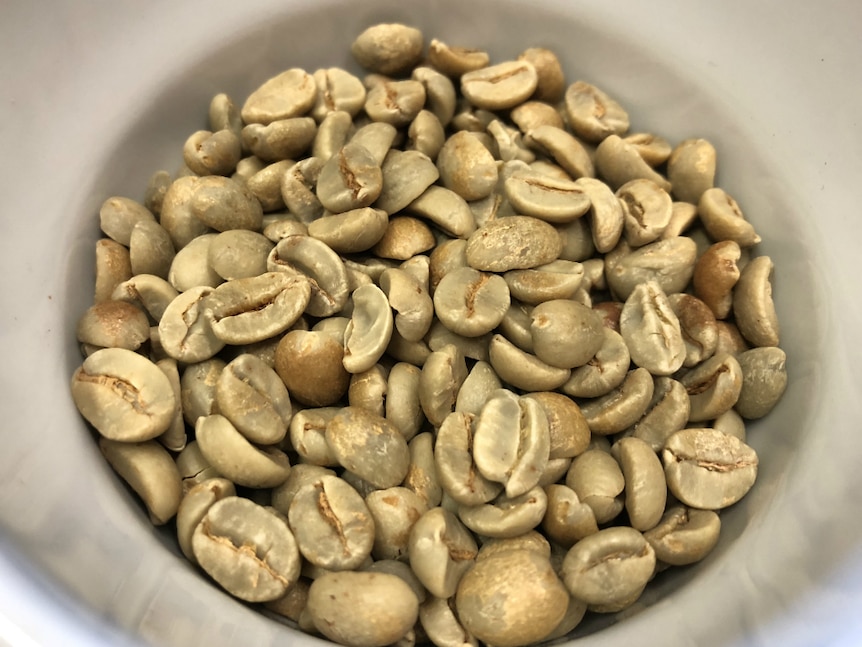 A cup full of green coffee beans