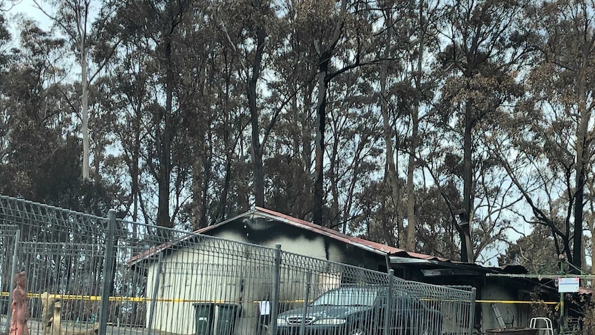 A house amid bushland looks blackened and burnt.