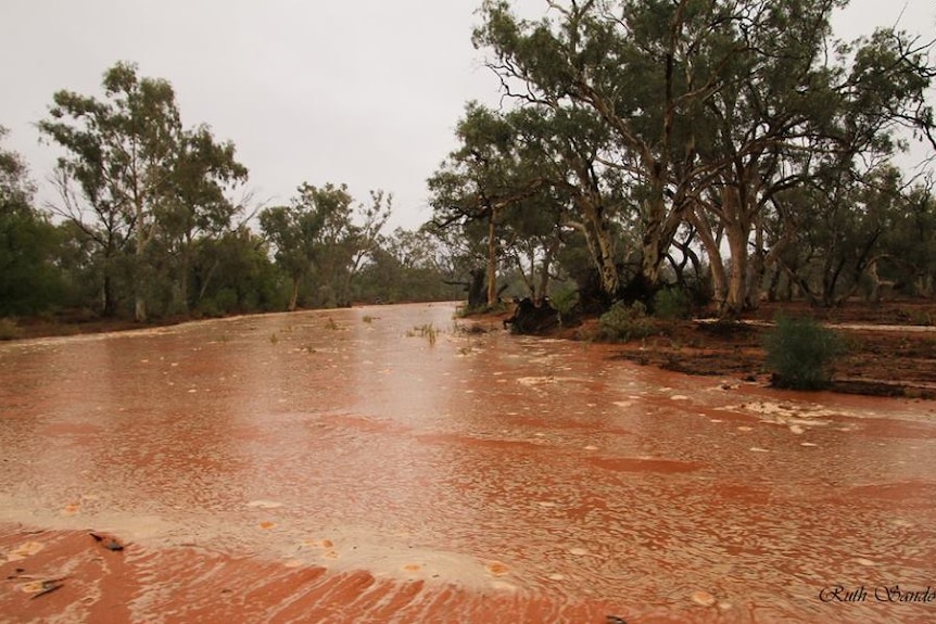 red coloured water flowing down a flooded creek with tree-lined banks.