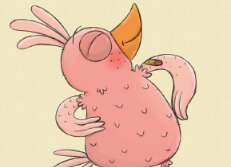 Birdie's Tree Resources - ABC Kids