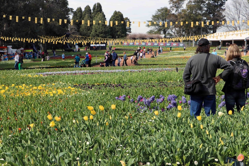 Visitors walking among Floriade flower beds at the 2015 event, which saw a spike in tree removal