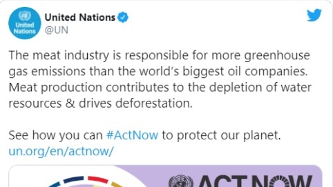 A tweet from the UN