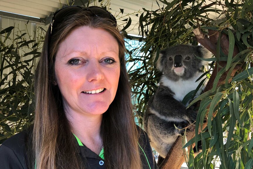 Susie Pulis stands in front of a koala in one of her treatment cages.