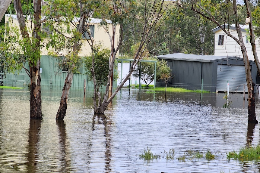 The water level of the Murray River rises to shacks