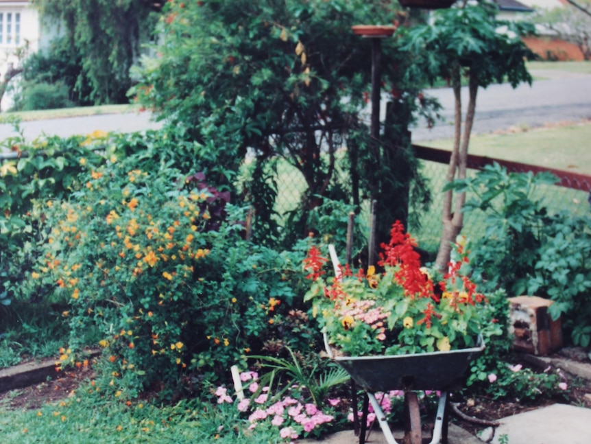 An old photo of a garden with a wheelbarrow full of flowering plants at the front