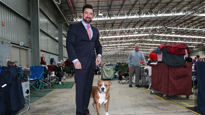 Plenty of owners like to dress up to either complement or contrast the colour of their dog.