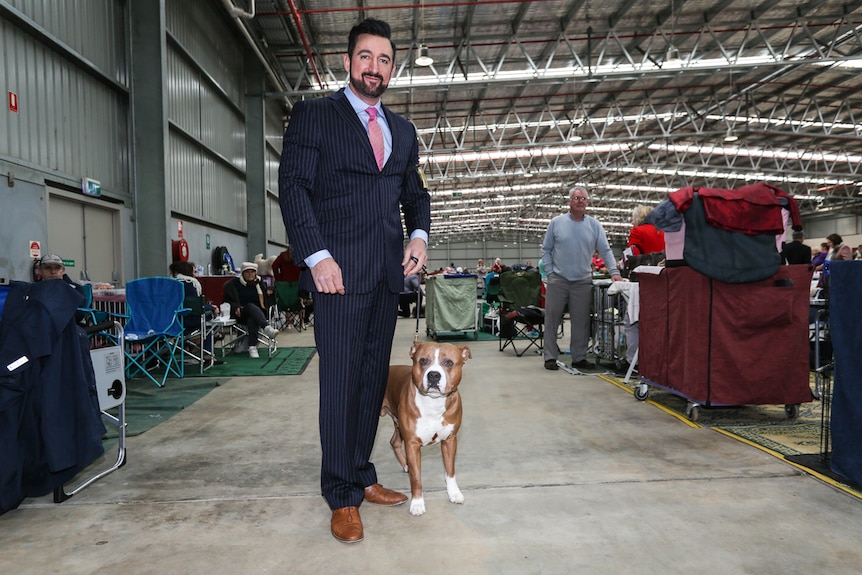 Plenty of owners like to dress up to either complement or contrast the colour of their dog.