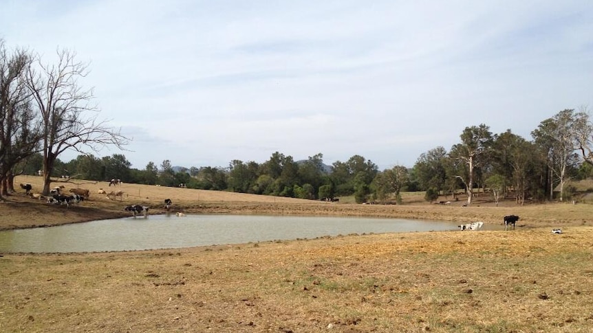 A dry dairy farm