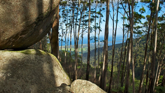 Gulaga view