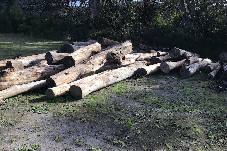 Pile of logs ready for milling on a property