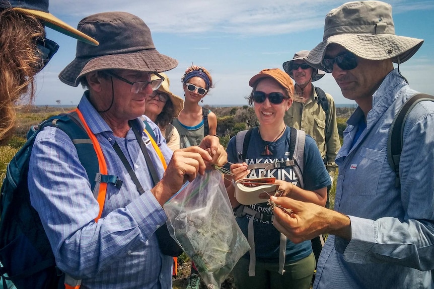 Bioblitz volunteers inspect some of their specimens