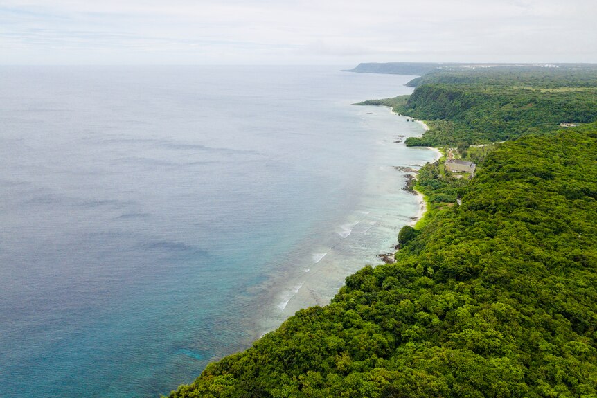 A lush green rainforest meets deep blue water on a sandy beach coastline