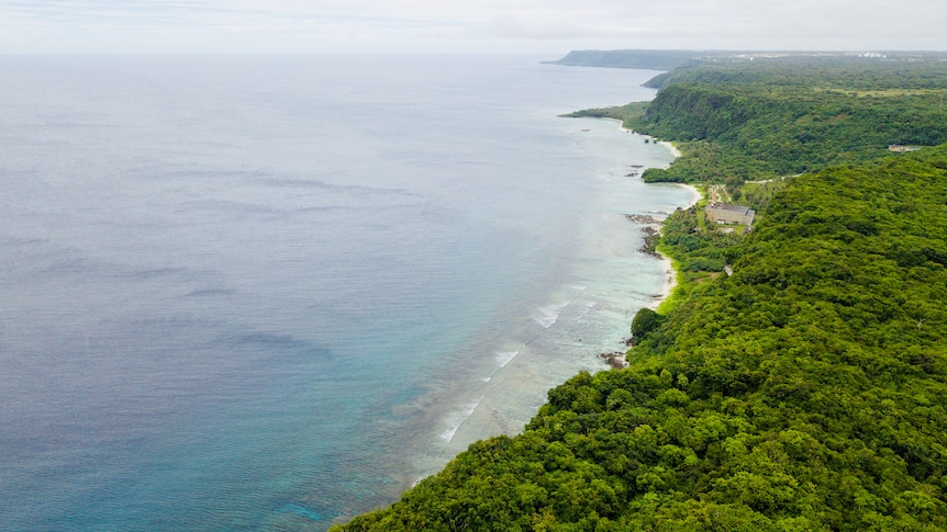 A lush green rainforest meets deep blue water on a sandy beach coastline