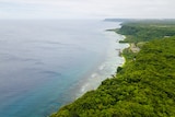 A lush green rainforest meets deep blue water on a sandy beach coastline