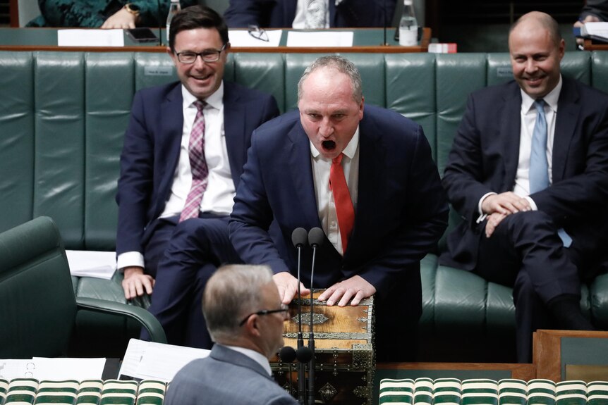Newly minted leader of the Nationals, Barnaby Joyce, speaks in Parliament. June 2021.