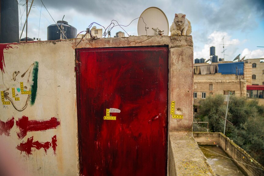 Yellow tape with measurements is stuck beside bullet holes in a red door in a stone house. A cat sits on top