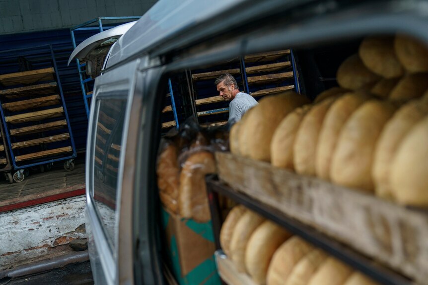 Rows of bread in the back of a car with a man in the background